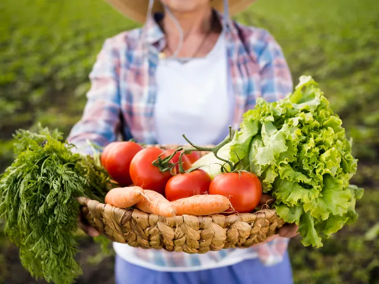 Frutas al por mayor listas para distribución