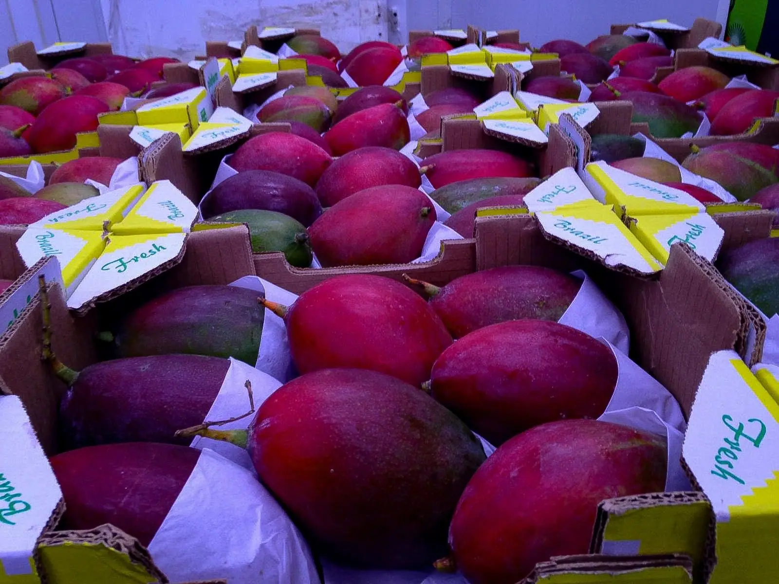Proveedores de frutas y verduras en mercado mayorista